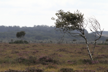 Naturen, øvrige Danmark
