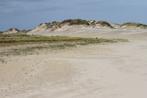 Landskab, Råbjerg Mile