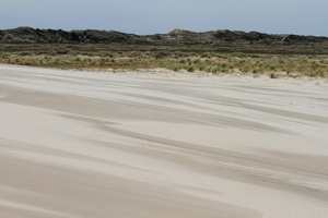 Landskab, Råbjerg Mile