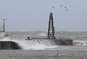 Strandskader -- <b>Strandskader</b> trækker forbi Roshage ved Hanstholm.
