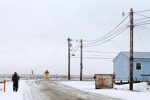 Sneugle -- Under en uges ophold i Barrow, Alaska, i oktober 2019 var <b>Sneugle</b> en allestedsnærværende art, som optrådte med en helt utrolig tæthed - både i byen og på tundraen rundtomkring. Blot ved at køre rundt på de få km samlede vejstrækning omkring byen registrerede vi på en enkelt dag ikke færre end 29 (!) forskellige Sneugler.
Blandt andet var lygtepælene yndede udkigsposter.